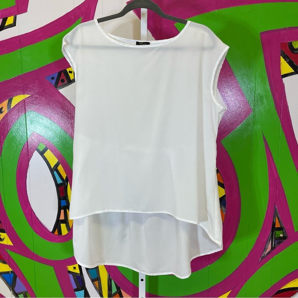 Cupio, Sheer White Blouse Flowy Back. Size Large. Excellent condition!